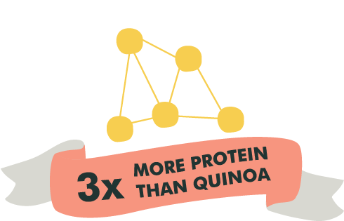 3 times more protein than quinoa